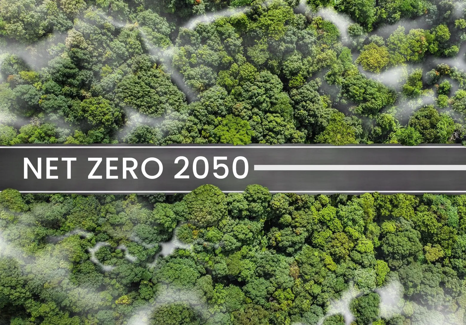 net zero 2050