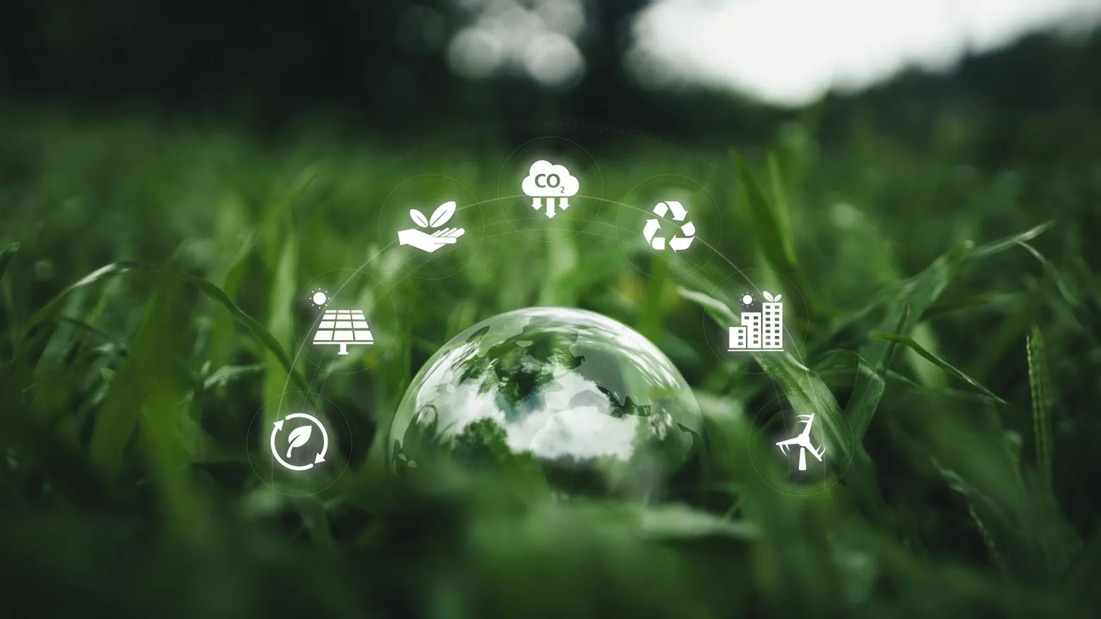 A glass globe on grass surrounded by eco-friendly icons: plant, CO2, recycling, solar panel, building, and question mark.