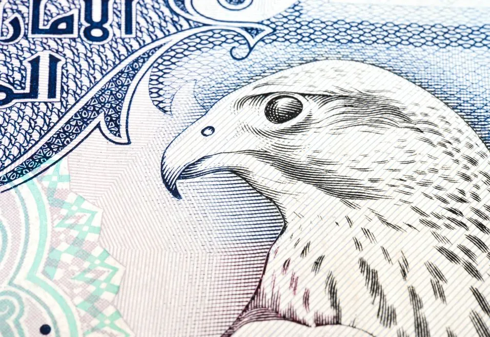 Close-up of a falcon illustration on currency, featuring intricate linework and detailed patterns in blue and white.